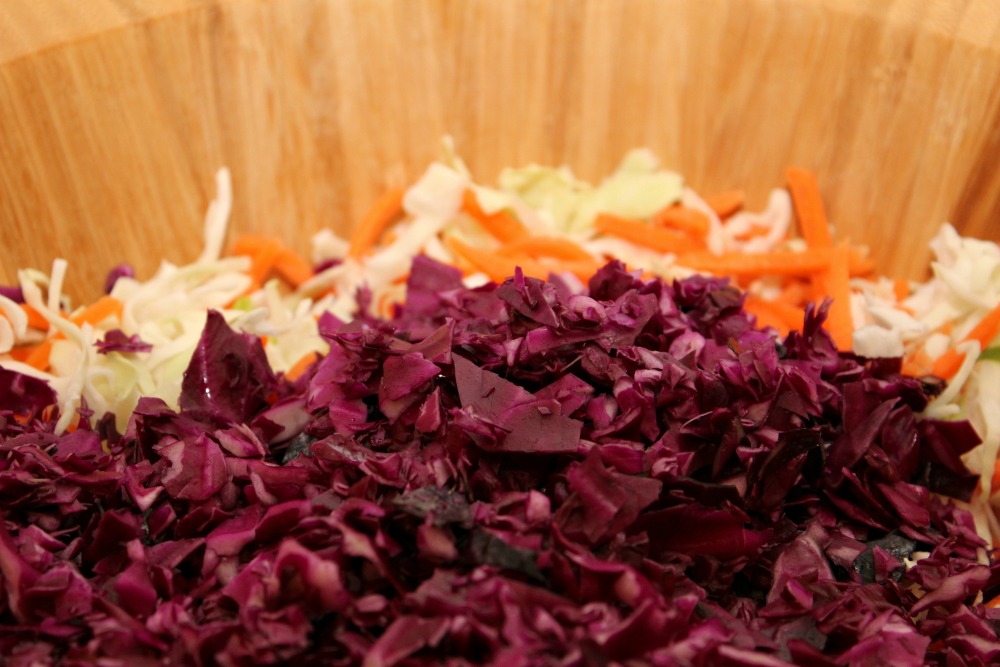 Summer Slaw with Dill Weed Dressing