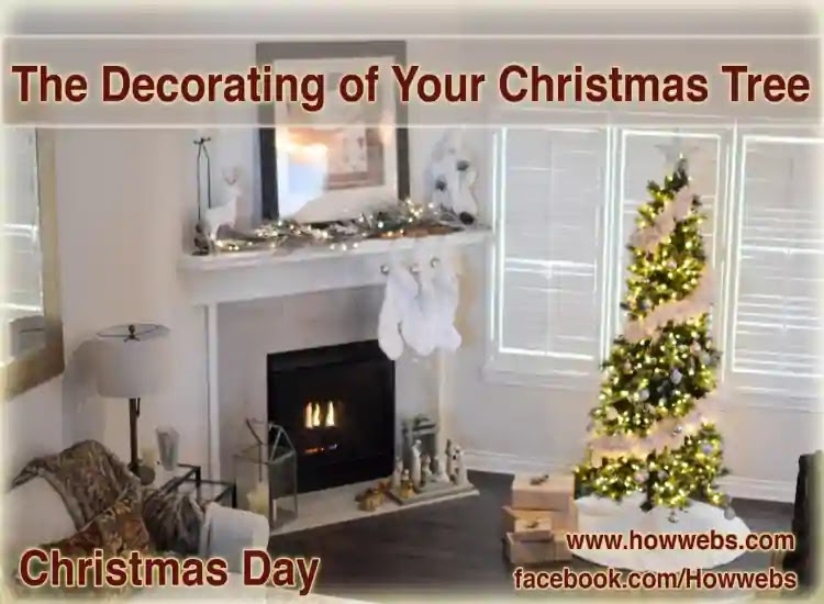 Do the Decoration of Your Christmas Tree on Your Own | Xmas Tree Do the Decoration of Your Christmas Tree on Your Own | Xmas Tree