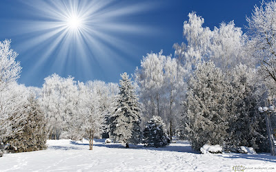 Wallpaper 4k 8k space lava 5k android 2k orange abstract wallpapers backgrounds light News Guides: 40 Best HD Wallpapers