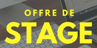 Offre_de_stage_pré-emploi