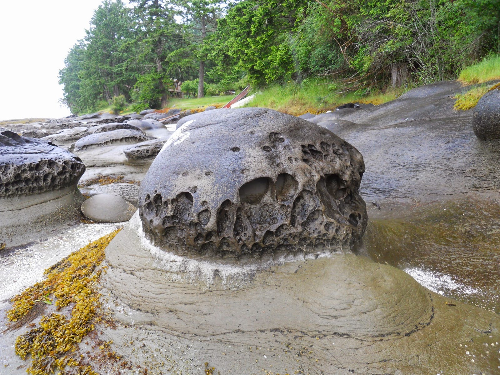Life, Art and Travel of Lynn Myette: The Rocks of Gabriola Island