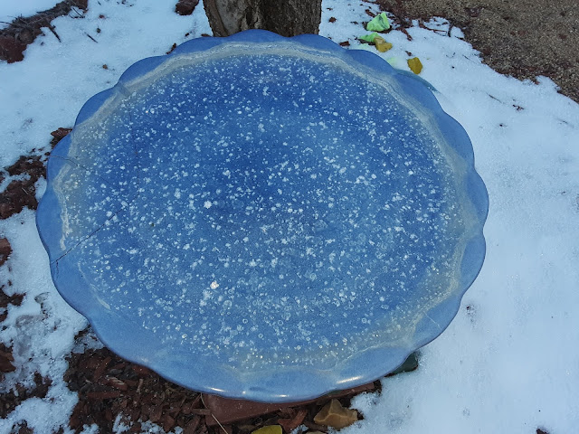Oddball Observations : ARIZONA WEATHER