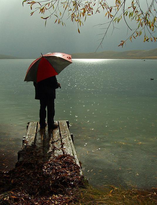 SERENIDADE TRADUZIDA EM IMAGENS
