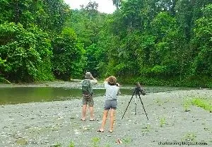 French tourists were enjoying birding, wildlife watching and riverwalk tour in Manokwari of West Papua.
