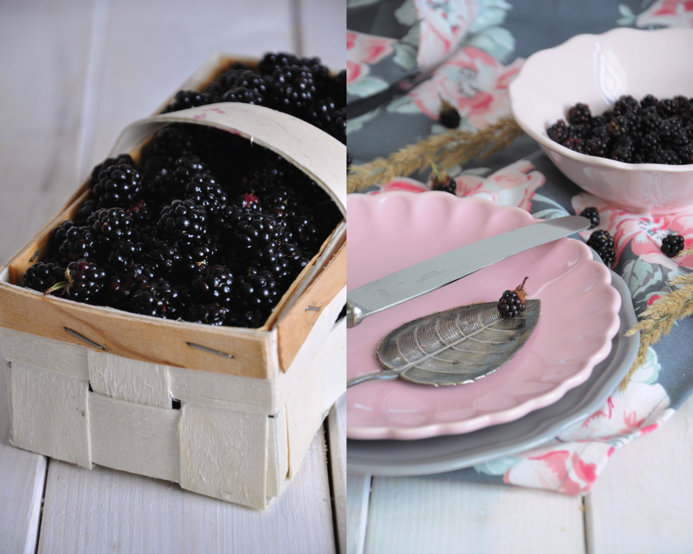 Krümelkreationen: Brombeer-Mousse-Torte mit griechischem Joghurt Krümelkreationen: Brombeer-Mousse-Torte mit griechischem Joghurt