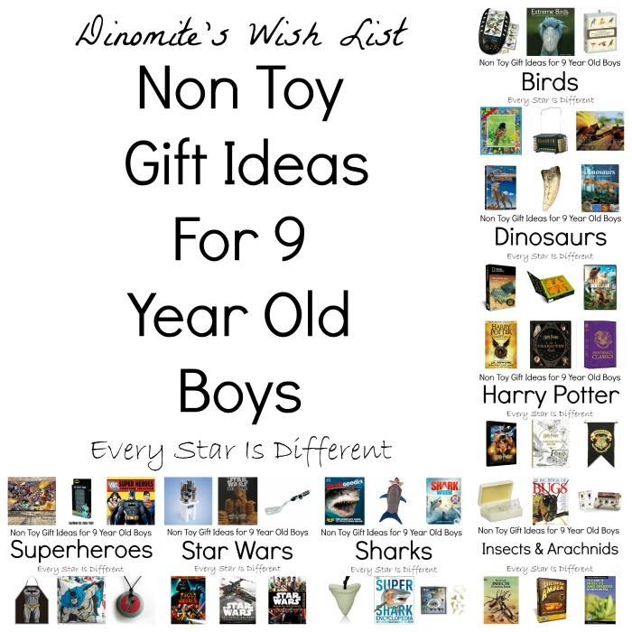 Non Toy Gifts For Year Old Boy Great Gift Ideas For Year Old Boy
