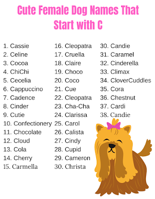 Cute Female Dog Names That Start with C