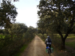 Dehesas camino de Guadalupe