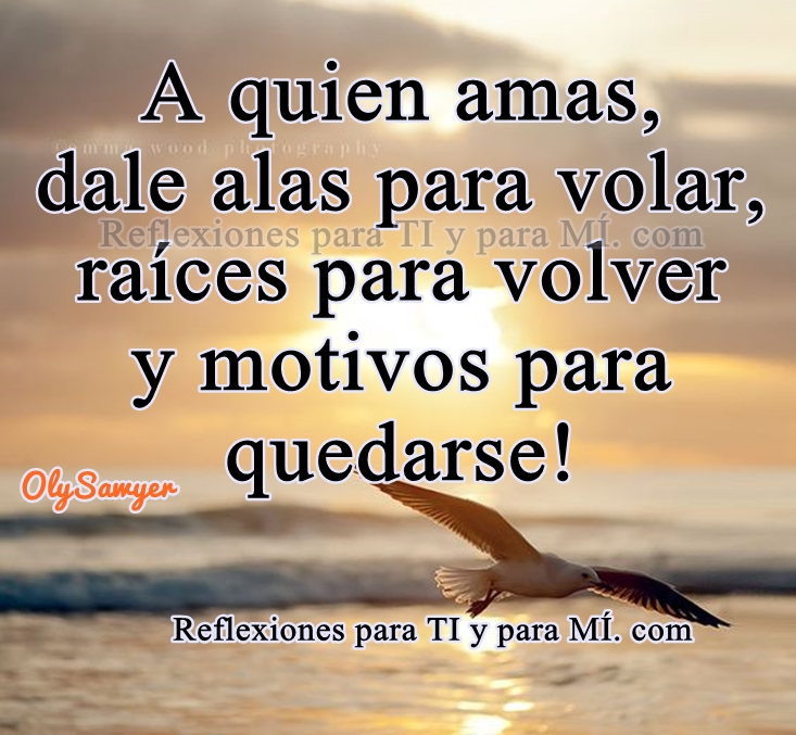 Reflexiones para TI y para MÍ // A quien amas, dale alas para volar Reflexiones para TI y para MÍ // A quien amas, dale alas para volar