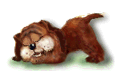 cachorro_dormindo.gif