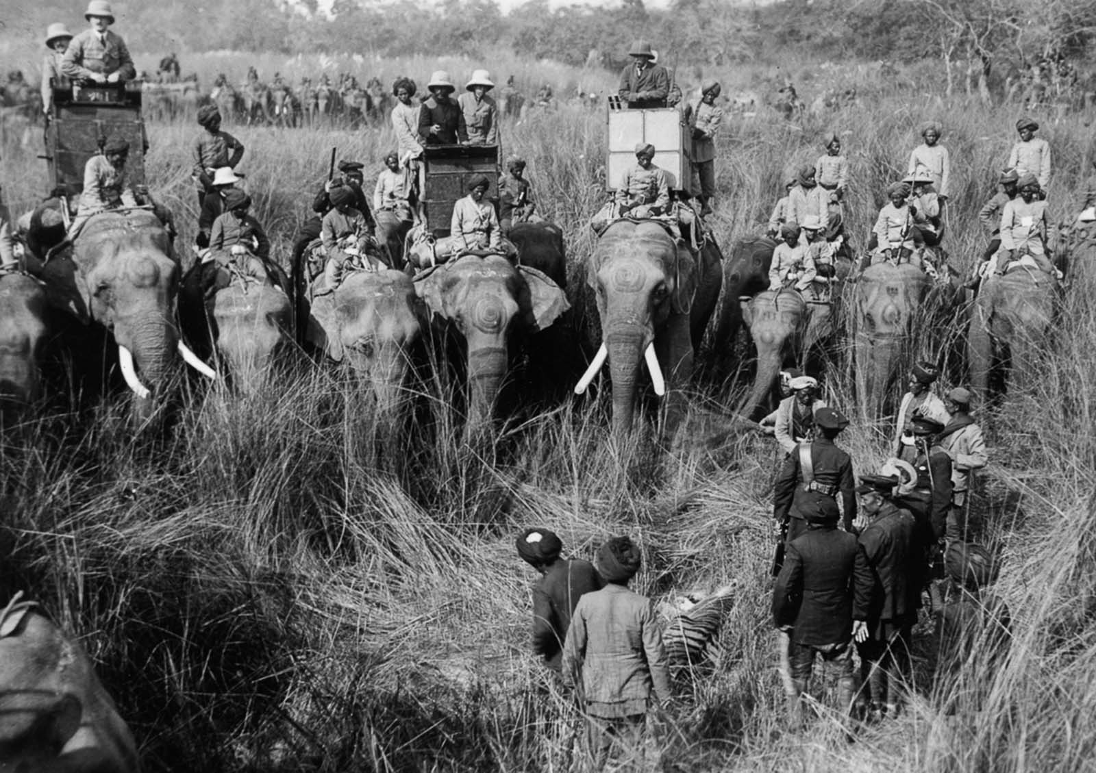 british royals india hunting trip 1911