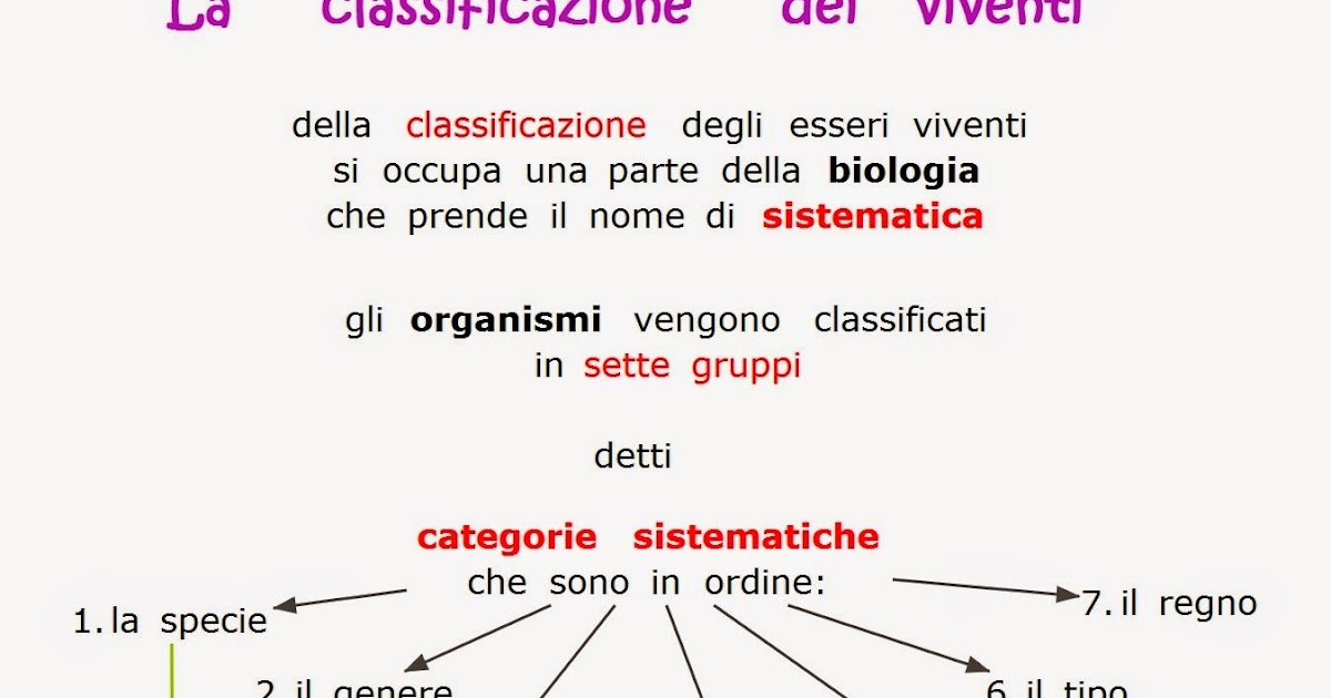 Paradiso delle mappe La classificazione dei viventi Paradiso delle mappe La classificazione dei viventi