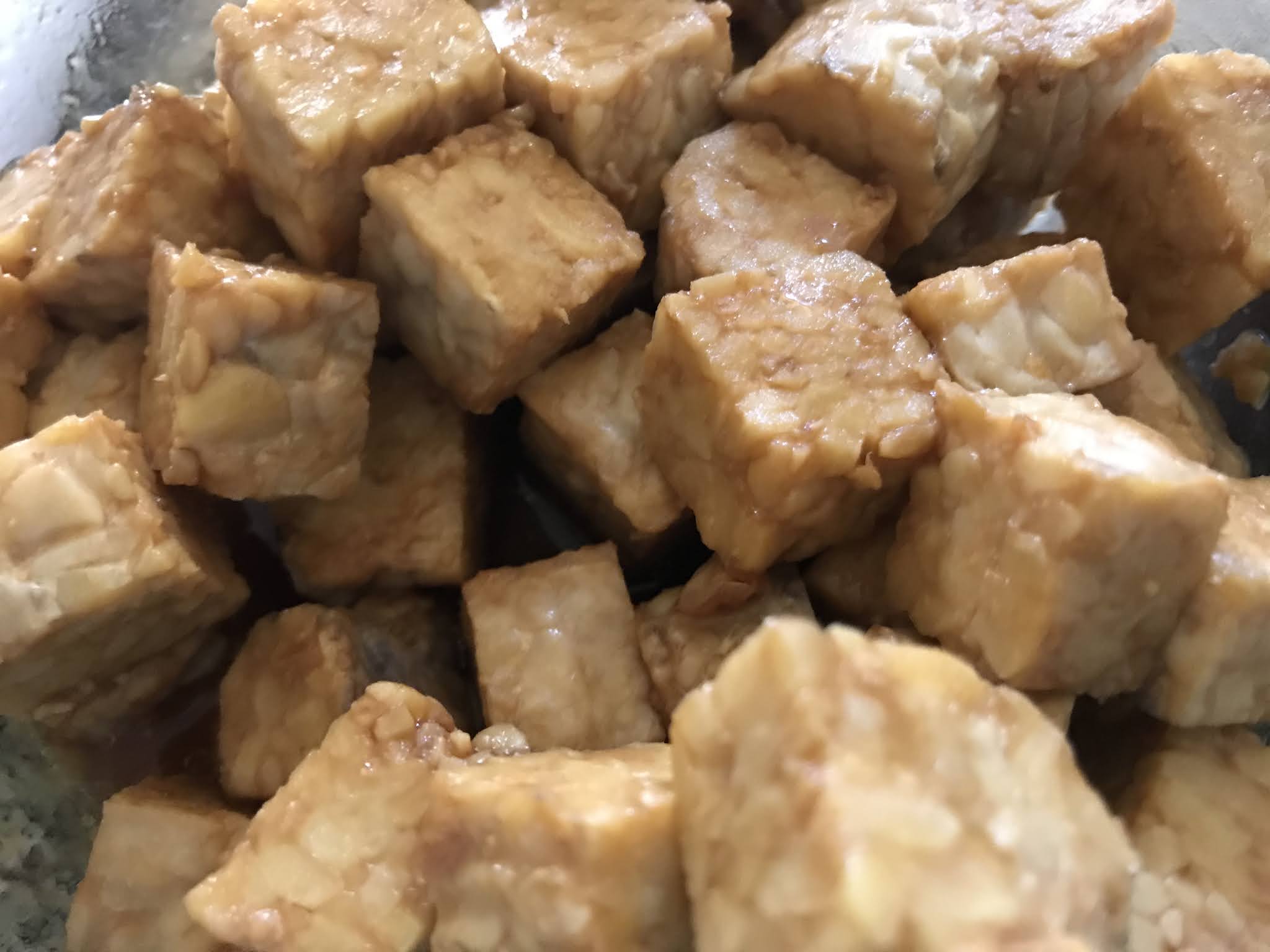 Recipe The Best Baked Tempeh with Soy Sauce and Nutritional Yeast Dallas Mom Blog and Fort