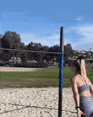 6.gif