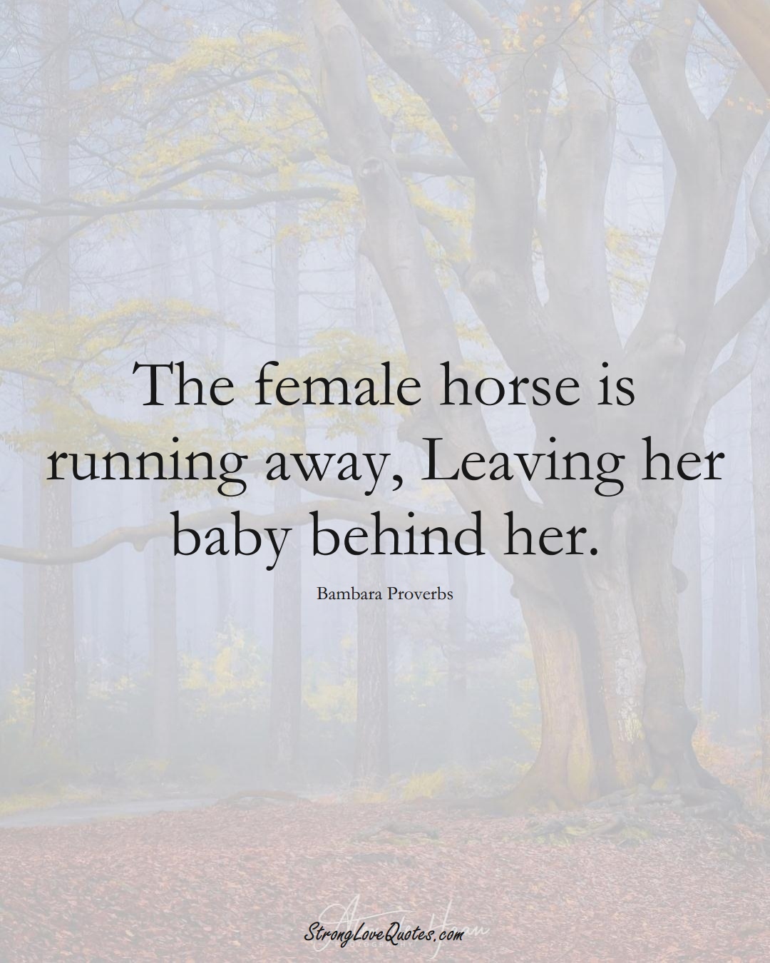 The female horse is running away, Leaving her baby behind her. (Bambara Sayings);  #aVarietyofCulturesSayings