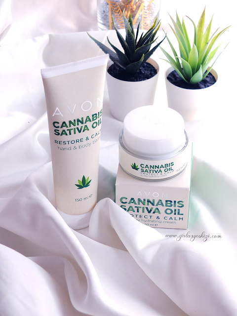 Avon Cannabis Sativa Oil Calm & Protect Gündüz Kremi Kullananlar
