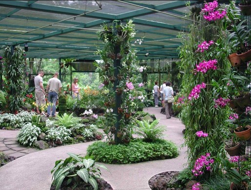 Paling Populer 16+ Gambar Taman Anggrek Minimalis - Gambar Bunga Indah