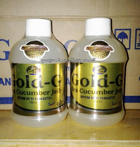 Obat Tradisional Penyakit Asam Urat