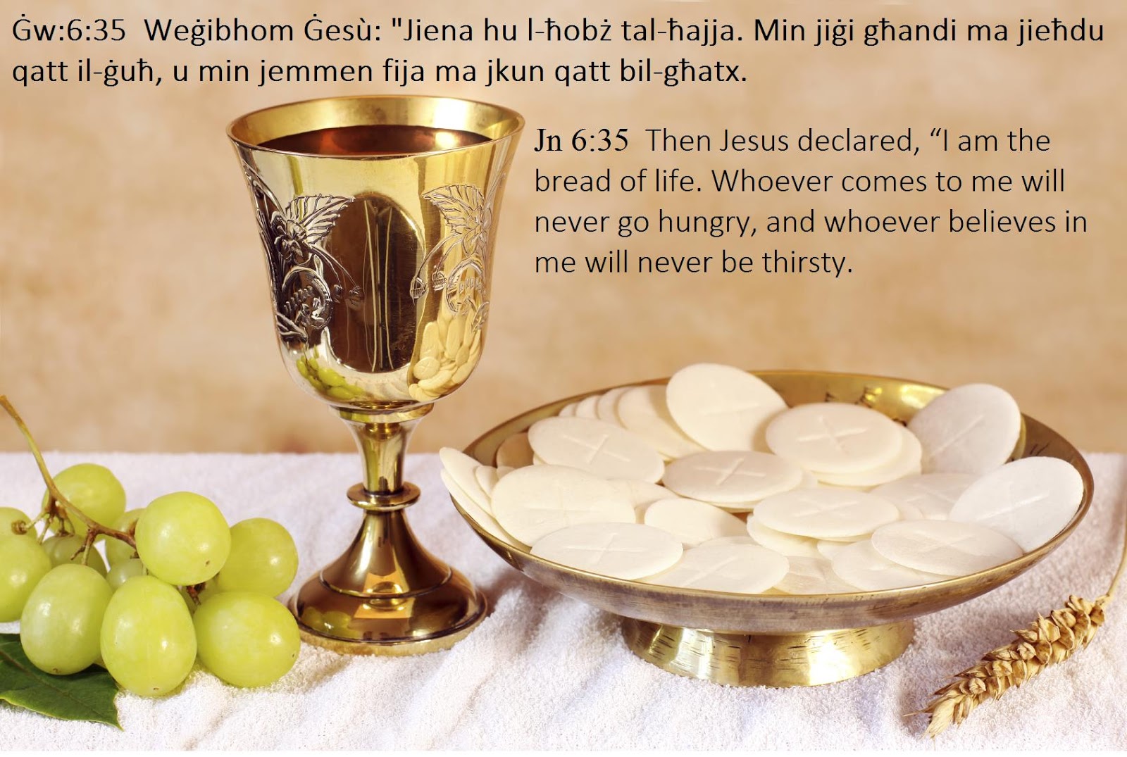 the real presence of jesus christ in the sacrament of the eucharist