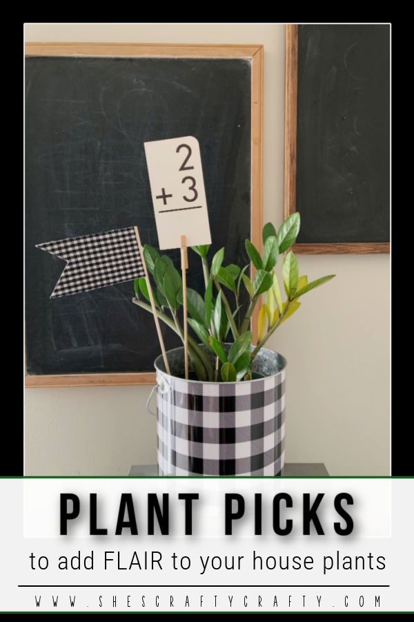 Plant Picks to add flair to your house plants - Pinterest Pin