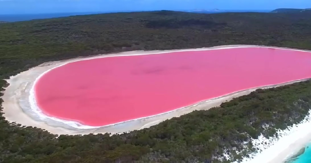9 Pink Lake in the World You Won't Believe to Travel Smartplusme