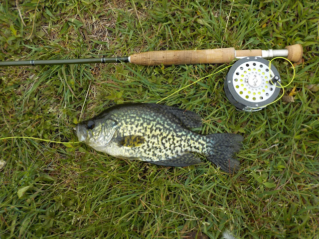 A Real Crappie Evening  Fishing with Fiberglass Fly Rods