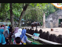  Liburan di Kebun Binatang Ragunan 