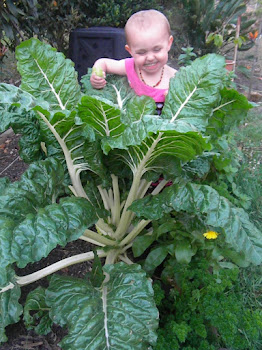 My Violet loves growing silverbeet