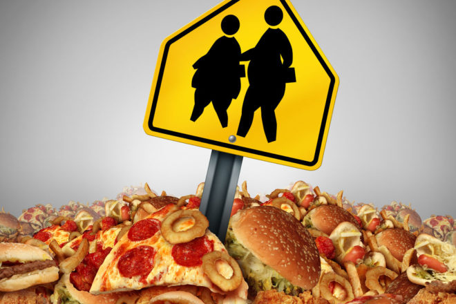 Fast food obesity essay