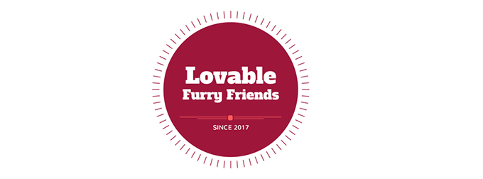 Lovable Furry Friends