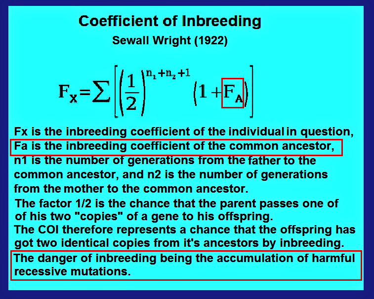 Инбридинг 5 4. Inbreeding coefficient. Inbreeding coefficient Formula. Inbreeding.