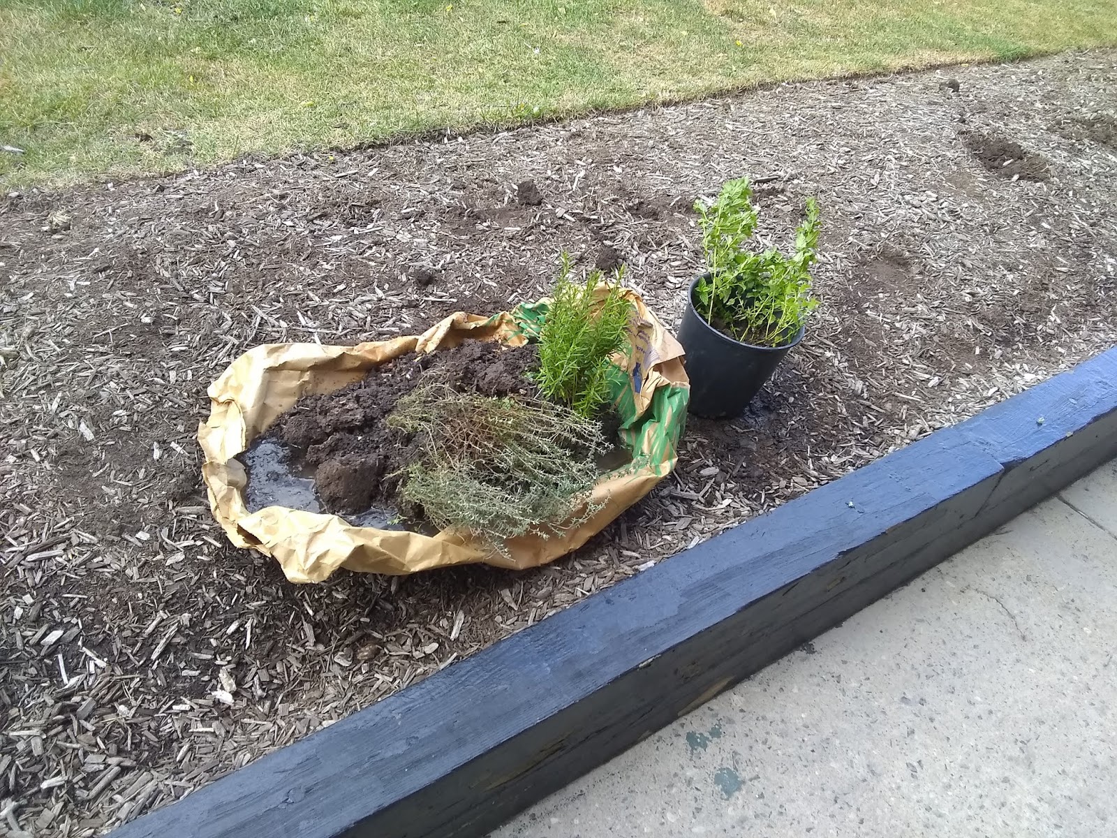 Community Life at Pedestal Gardens, Baltimore Youth Development