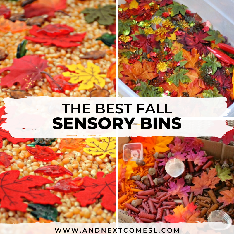 25 Awesome Fall Sensory Bins for Kids And Next Comes L Hyperlexia