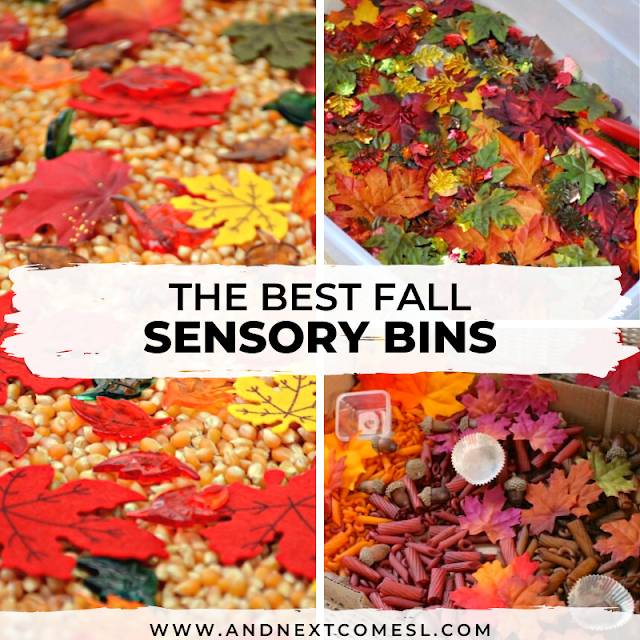 Fall Sensory Trays for Little Kids