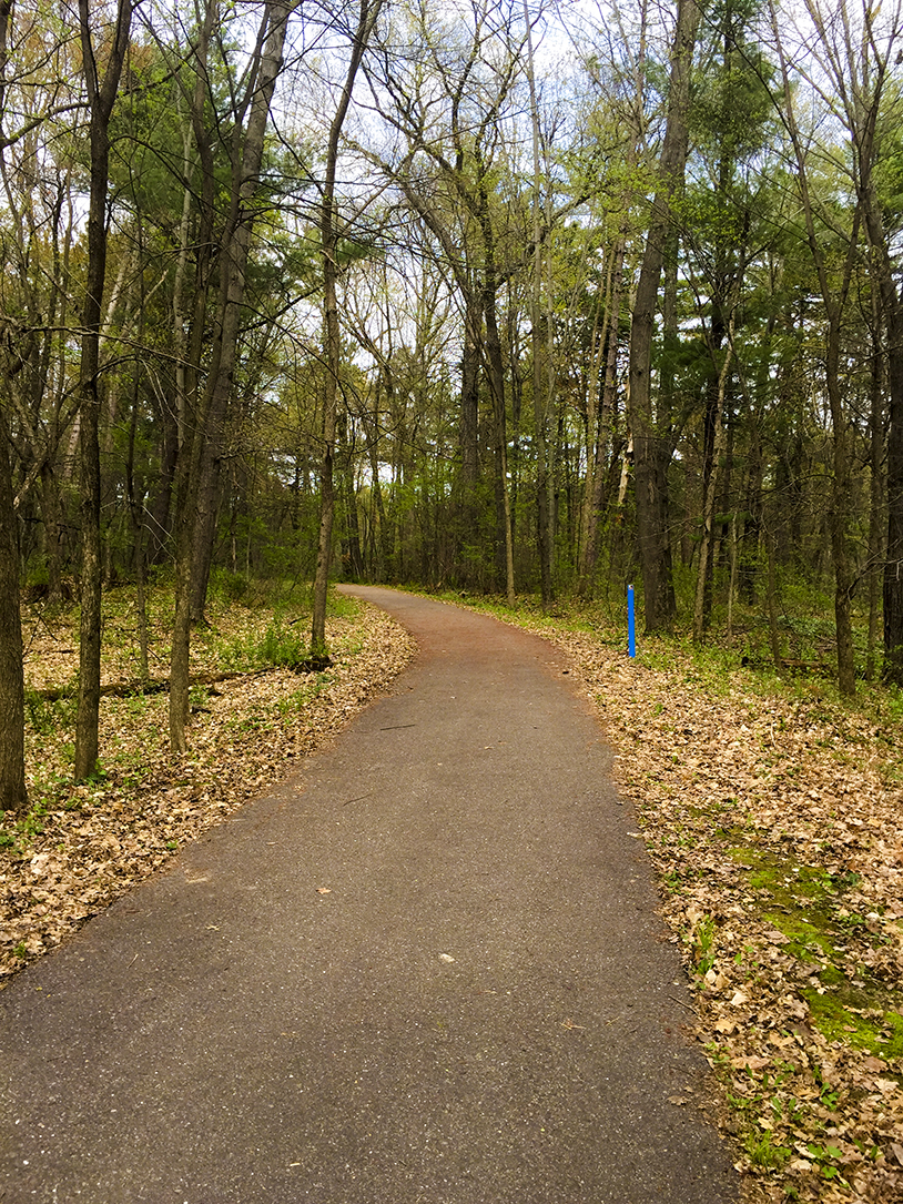 Wisconsin Explorer Hiking Echo Rock at Mirror Lake State Park