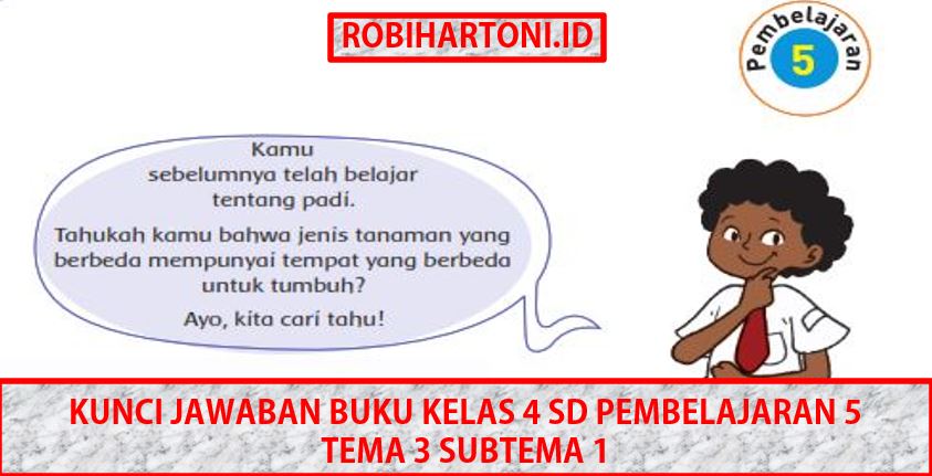 Kunci Jawaban Buku Kelas 4 Sd Pembelajaran 5 Tema 3 Subtema 1 Robihartoni