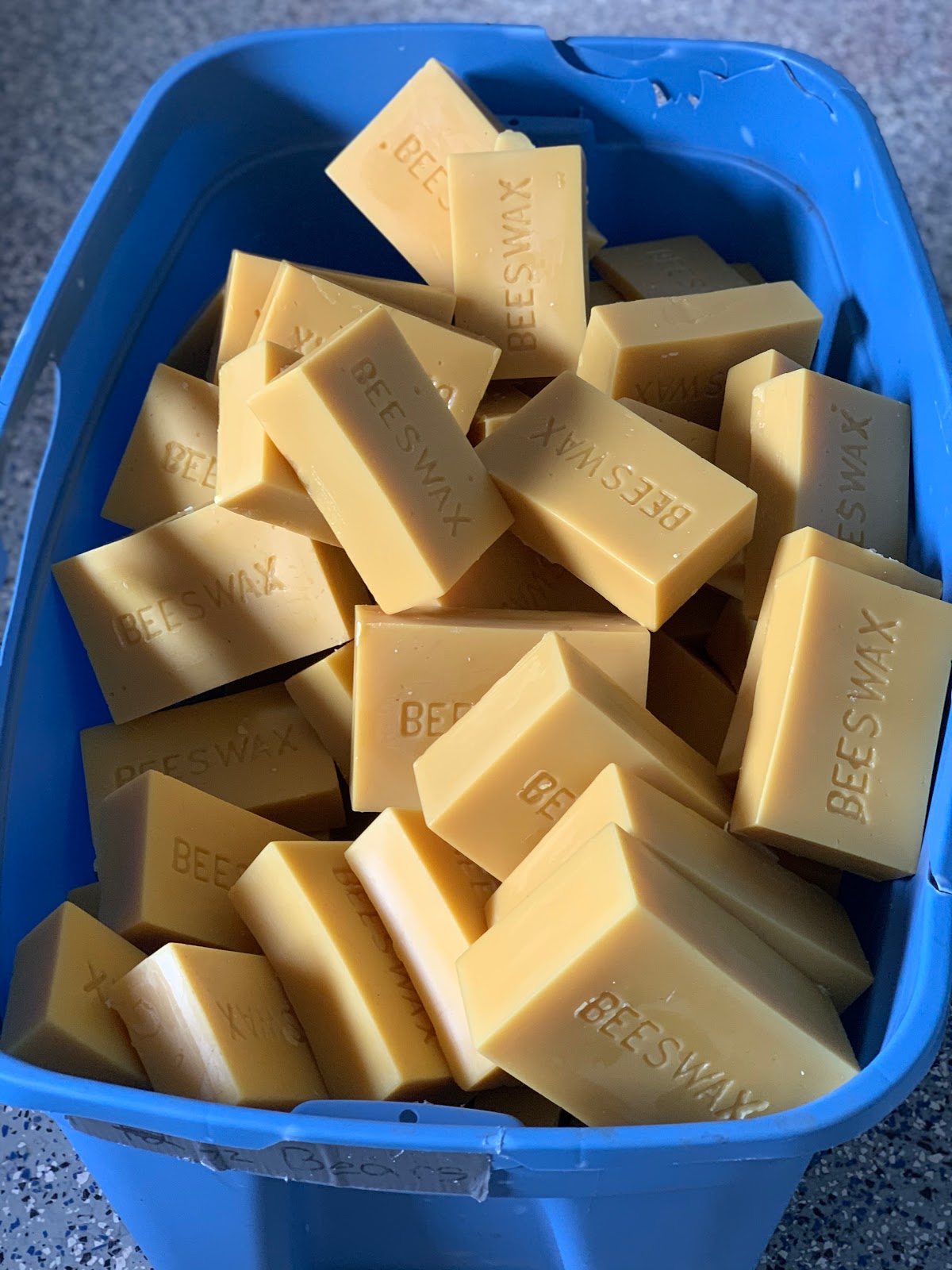 What Should I Be Doing With My Bees This Month? Honey and Beeswax For Sale