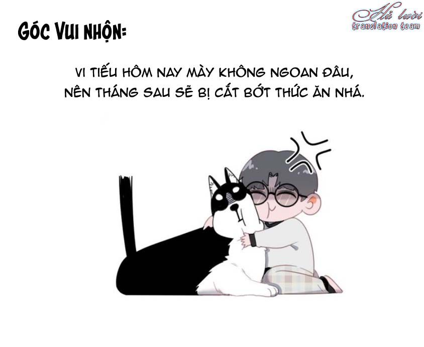 Đọc truyện Thế giới của một chú mèo - Chapter 17