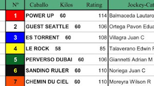 Turf. Pronósticos para Palermo Lunes 26 de Julio. Clásico Perú G2
