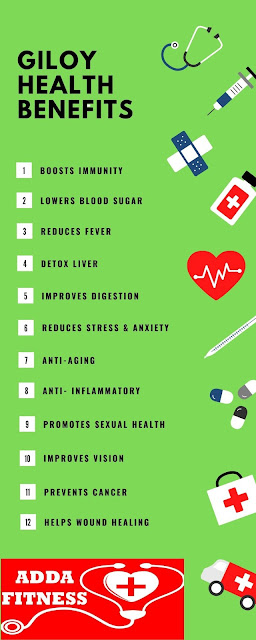 12 Health Benefits of Giloy