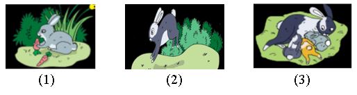 Soal Pts Penilaian Tengah Semester Kelas 5 Tema 1 Organ Gerak Hewan Dan Manusia Mupel Ppkn Bahasa Indonesia Dan Kunci Jawaban Lengkap Kisi Kisi Soal Update Aneka Pendidikan