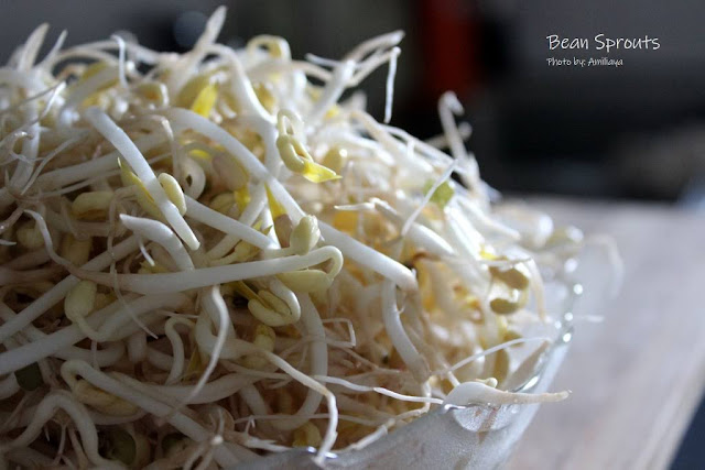 Mung bean sprouts 绿豆芽
