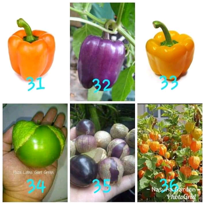 Gambar Produk 8