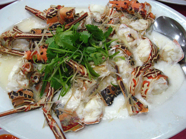 Elinluv's Tidbits Corner: Small Kucing's Coral Lobster :)