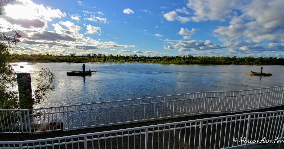 Marian's Hunting Stories, etc., etc., etc... Margaritaville Vicksburg