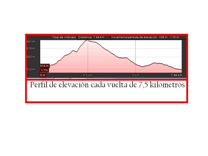 Perfil de elvación