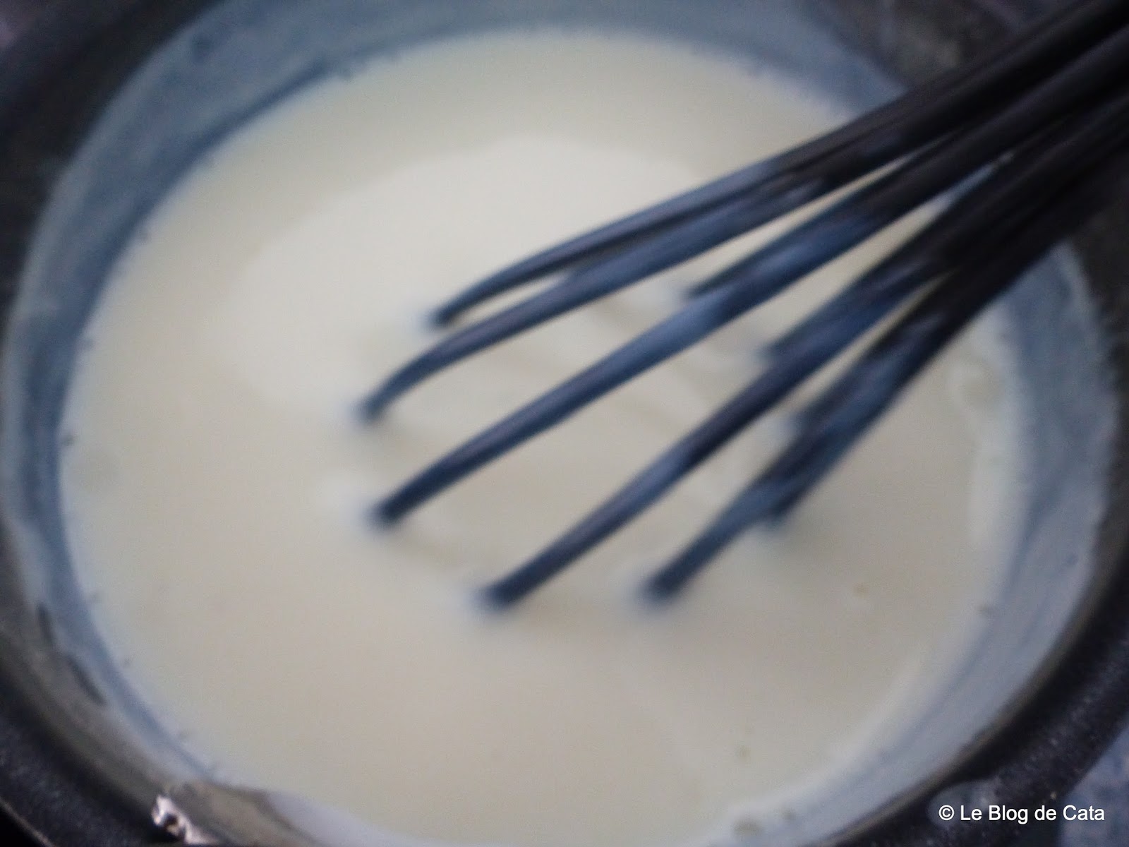 Blogul lui Cătă Crema de lapte Paraguay (Crema de leche y maizena)