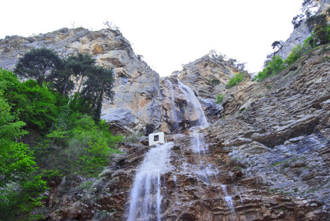 Where can I get some