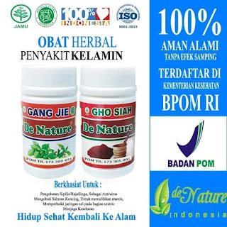 obat herbal infeksi saluran kencing