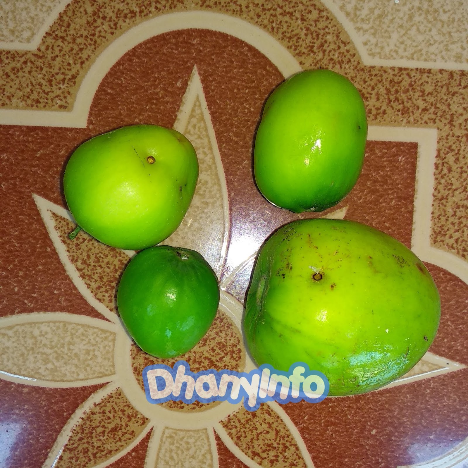 7 Manfaat Luar Biasa Buah Bidara Untuk Kesehatan
